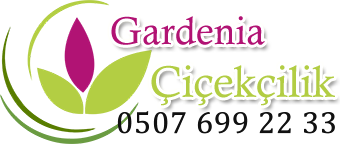 Bakırköy Basınköy Çiçek Siparişi (Aynı Gün) 1 Saatte Teslimat - Gardenia Çiçekçilik